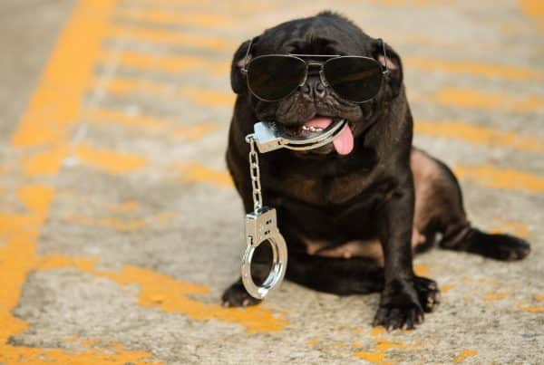 5-simple-ways-to-secure-your-website - website design - Raleigh - 90 Degree