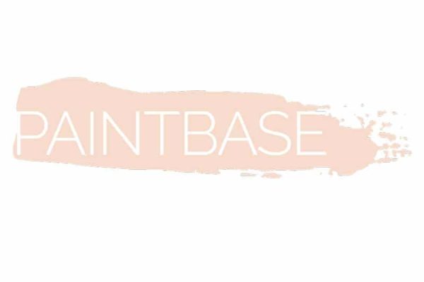paintbase franchise logo - logo design - Raleigh - 90 Degree Design