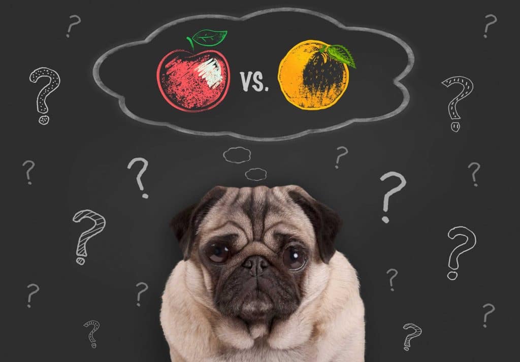 wordpress vs custom websites - website design - raleigh - 90 Degree Design