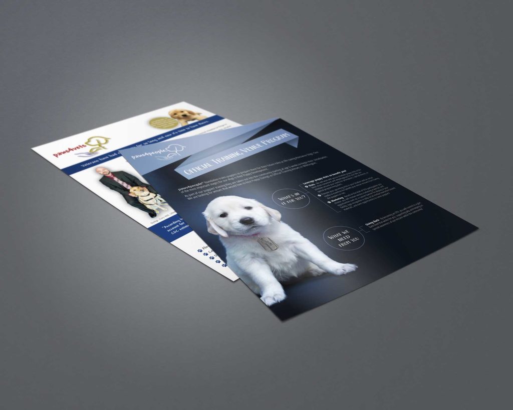 Graphic Design - flyer design - Raleigh - 90 Degree Design
