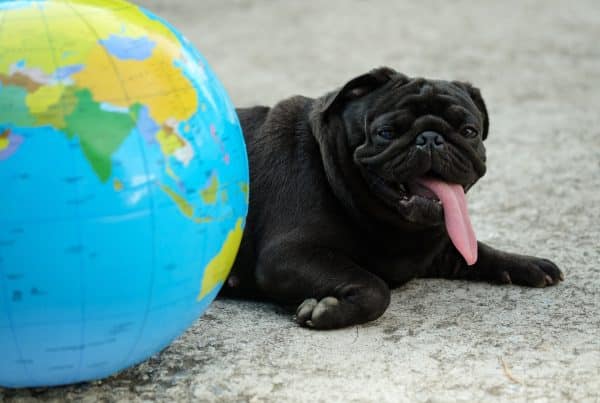 Local SEO Hacks From The Pros That Anyone Can Do - 90 Degree Design