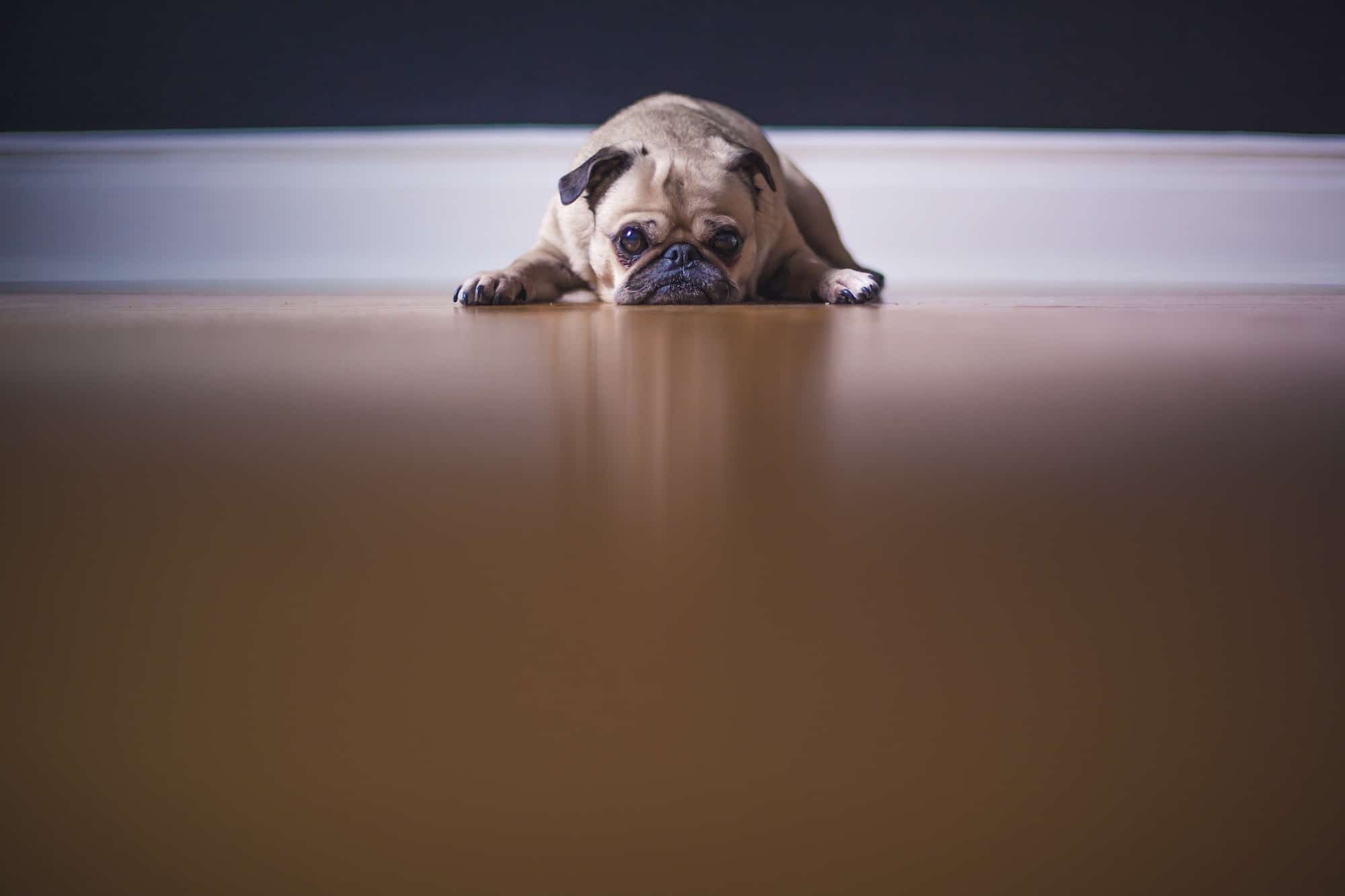 When Vendor Relationships Go Sour