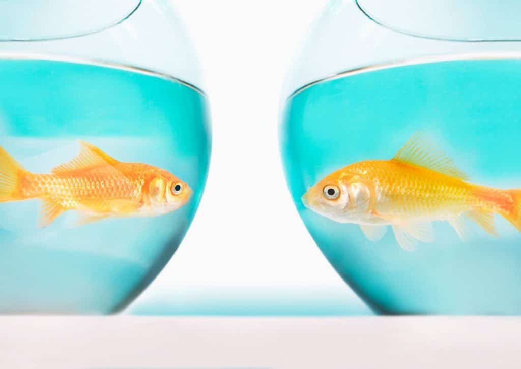 4 Reasons To Think Twice Before Choosing A Niche Digital Marketing Agency