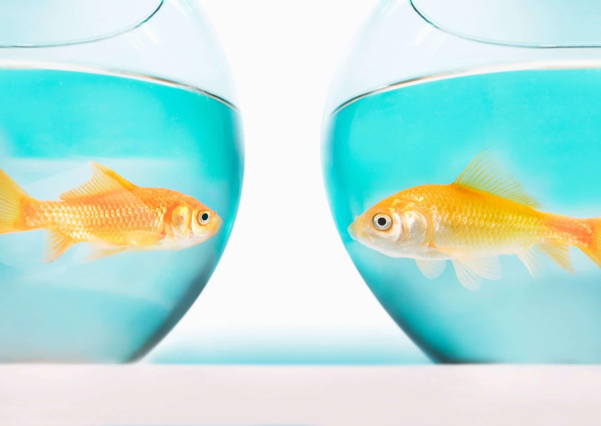 4 Niche Digital Marketing Agency Considerations