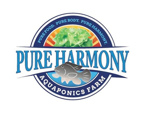 logos_0054_Pure-Harmony